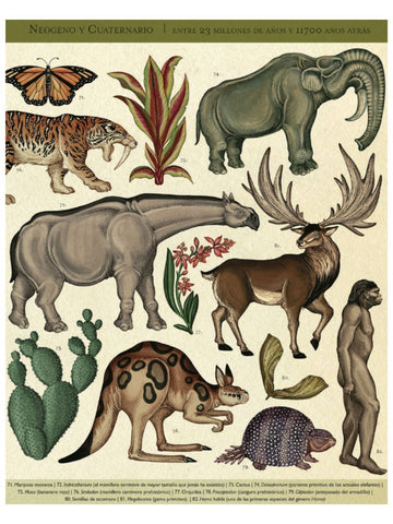 Historia de la Vida, Evolución
