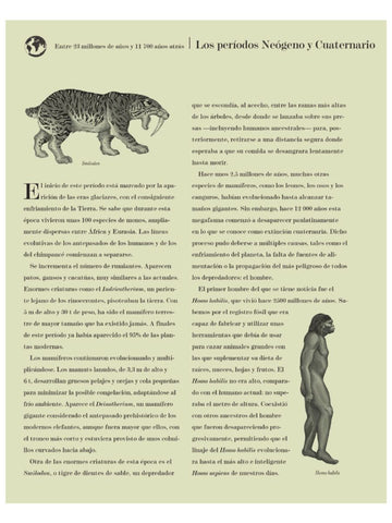 Historia de la Vida, Evolución