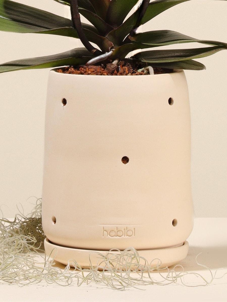 Frailejon Clay Planter (No plants included)