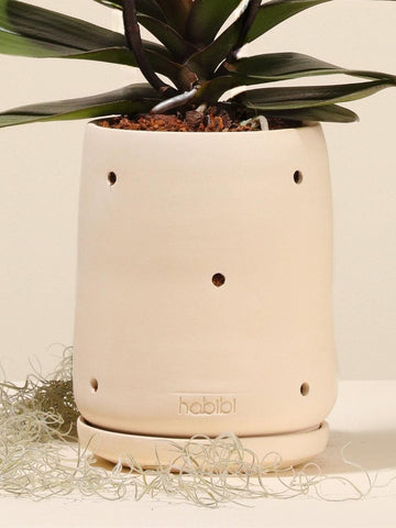 Frailejon Clay Planter (No plants included)