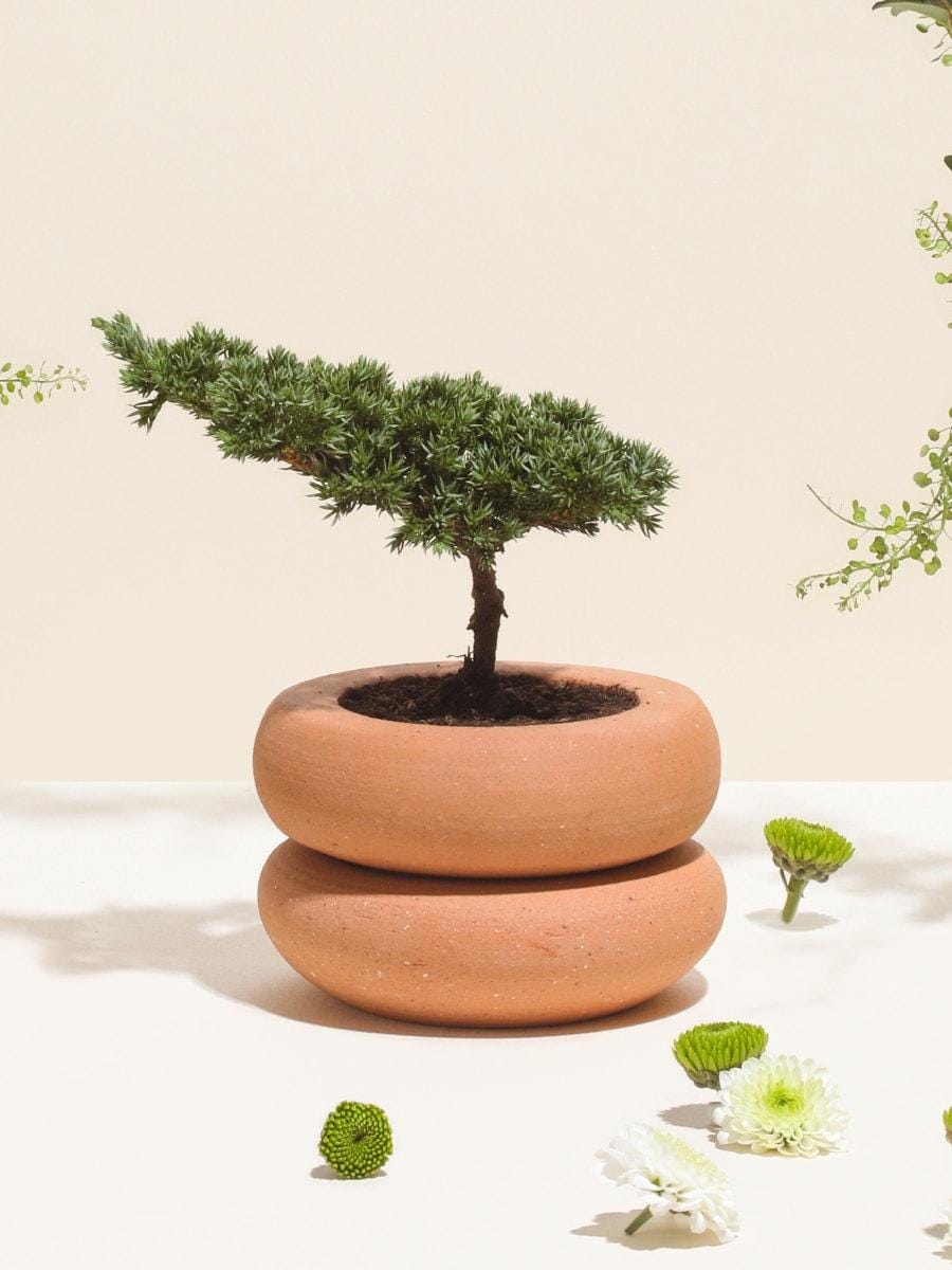 Bonsai Clay Planter (No plants included)