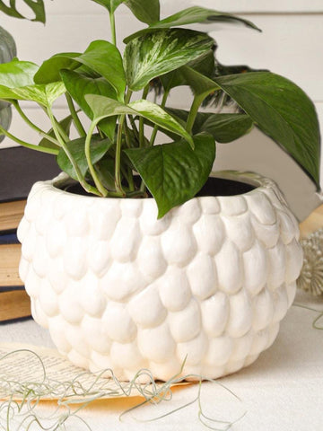 Chirimoya Ceramic Planter (No plants included)