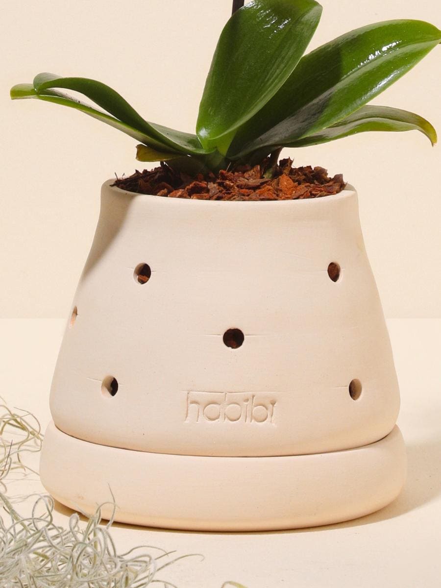 Cumbre Clay Planter (No plants included)