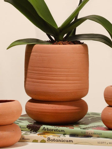 Handmade Terracotta Planter | Indoor Plant Pot | Succulent Planter | Colombian Artisan Pottery | Gift for Plant Lover (No plants included)