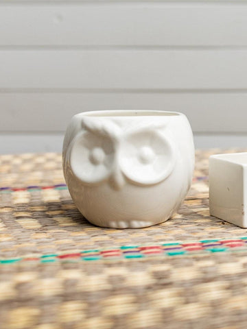 Handmade Owl Ceramic Planters Set of 2 | Cute Animal Plant Pots | Colombian Artisan Pottery | Unique Gift for Plant Lovers | Boho Desk Decor
