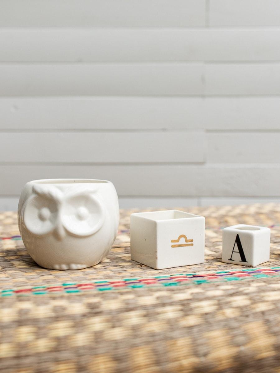 Lucky Garden Ceramic Planters (Set of 3) (No plants included)