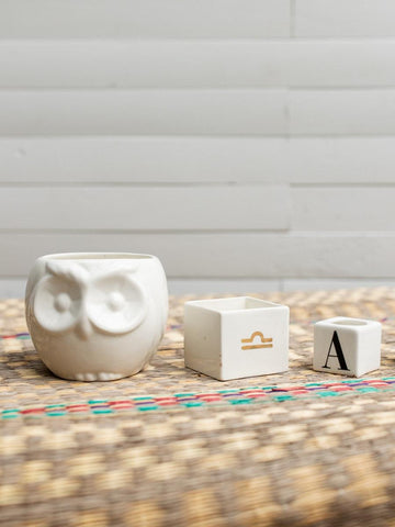 Lucky Garden Ceramic Planters (Set of 3) (No plants included)