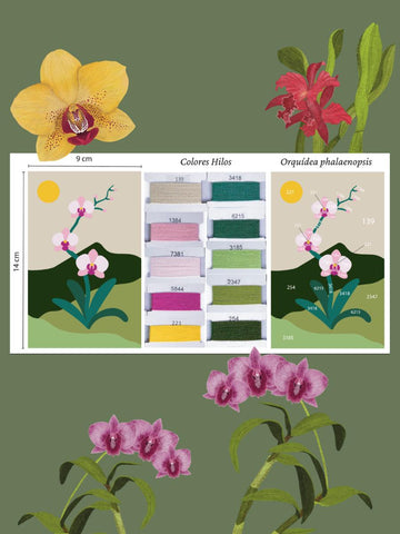 Punch Needle Orchid Fiber Art | Wayuu Textile Wall Decor | Framed Botanical Art | Phalaenopsis Flower Wall Hanging | Gift for Plant Lover