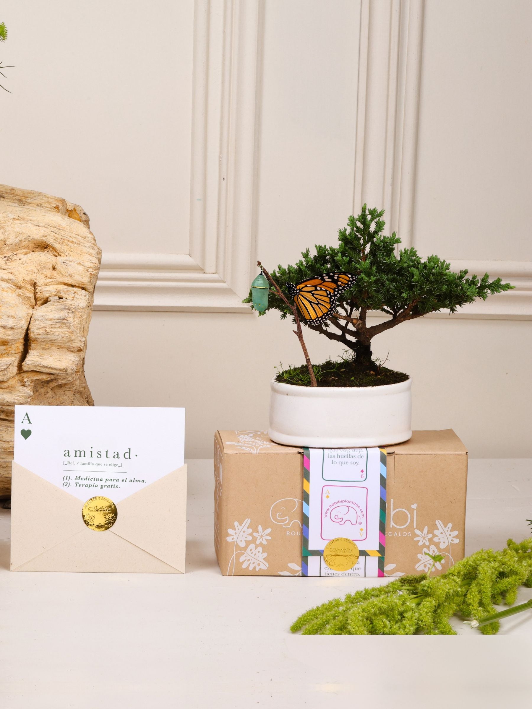 Kit Amistad de Años: bonsái de pino Sakura en matera de cerámica blanca con el capullo de mariposa colgando de una ramita y la mariposa monarca ya eclosionada, junto a la postal con la definición de Amistad en sobre kraft con sello dorado.
