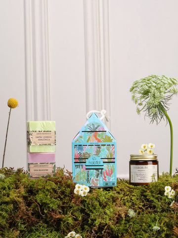 Kit Armonía con mini vela Deseos Para Ti, jabones tropicales Uva y Melón Kiwi — regalo sensorial Habibi