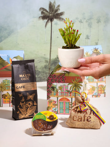 Kit Jardín Cafetero – casita cafetera, café, arequipe, granos con chocolate y suculenta en matera Iris