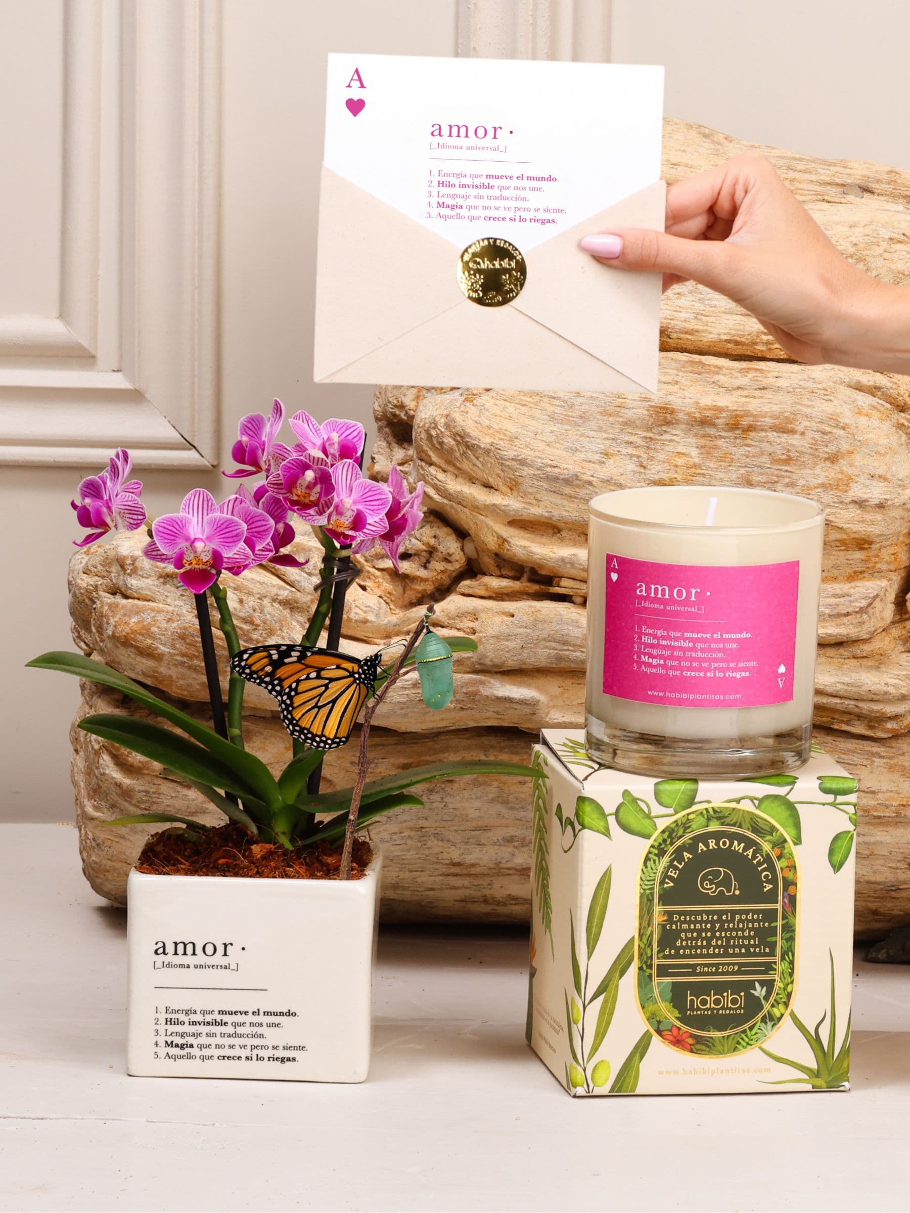 Kit Cupido: orquídea baby en matera de cerámica blanca con la definición de Amor, con el capullo de mariposa colgando de una ramita y la mariposa monarca ya eclosionada entre sus hojas, junto a la vela aromática de Amor y la postal en sobre con sello dorado.