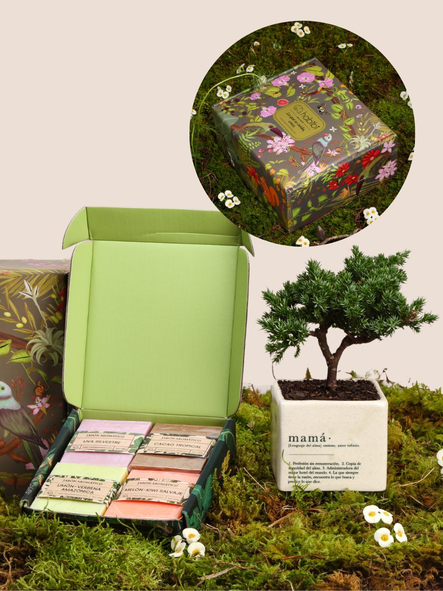 Kit Feel Good Mamá con mini bonsai de pino en matera Mamá y jabones botánicos — regalo Día de la Madre Habibi