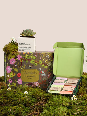 Kit Glow Mamá con suculenta en matera Mamá y jabones botánicos en caja Jardín Secreto Premium — regalo Día de la Madre