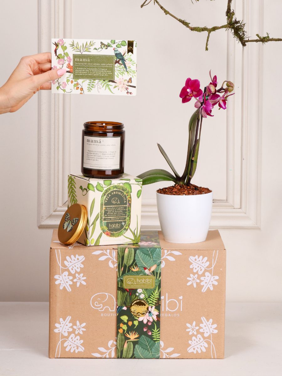 Kit Para Mamá la Planta del Amor con orquídea baby rosa, vela aromática Mamá y tarjeta con semillas — regalo Día de la Madre