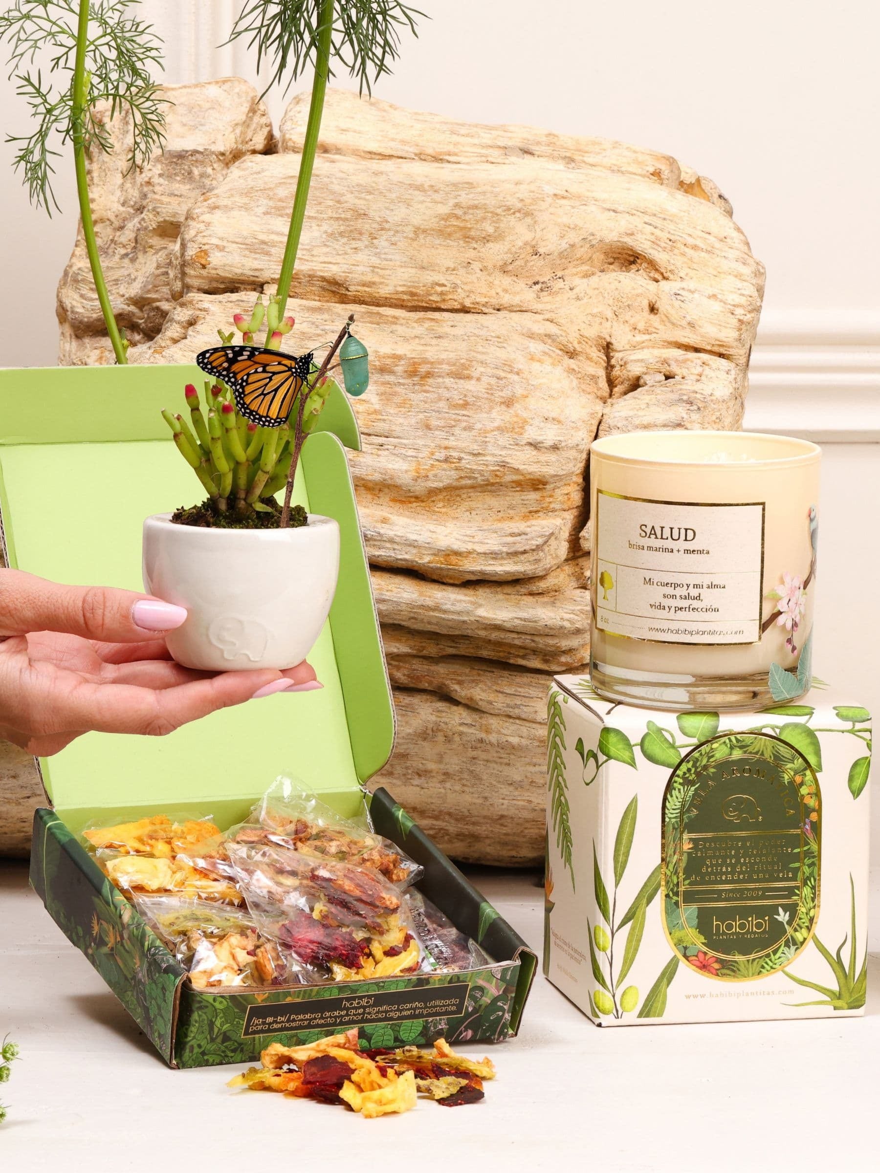 Kit Mejórate Pronto – capullo de mariposa