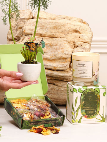 Kit Mejórate Pronto – capullo de mariposa