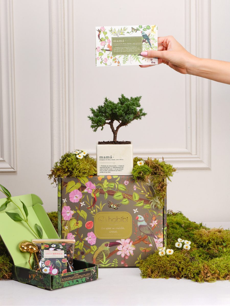 Kit Sweet Pause Mamá con mini bonsai en matera Mamá, té Valle Mágico y tarjeta con semillas — regalo Día de la Madre Habibi