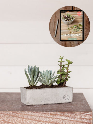 • Kit Tatacoa DIY + eBook
