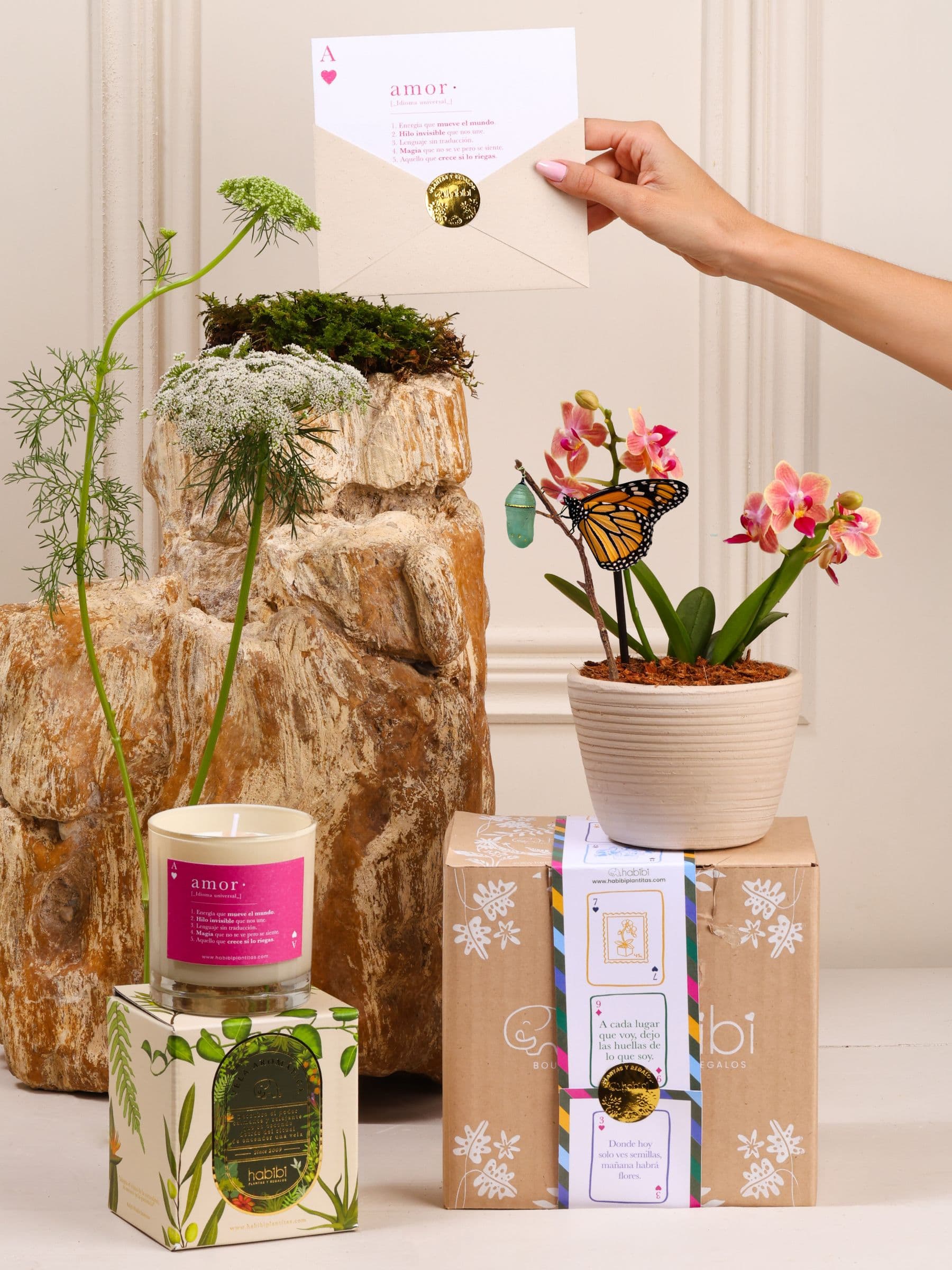 Kit True Love: orquídea baby en matera Sahara de cerámica blanca con el capullo de mariposa colgando de una ramita y la mariposa monarca ya eclosionada, junto a la vela aromática de Amor y la postal en sobre con sello dorado, sobre el empaque de la temporada Cartas de Amor.