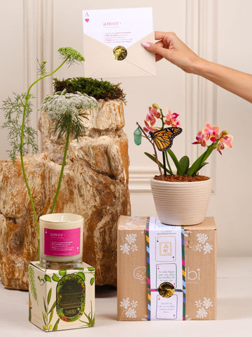 Kit True Love: orquídea baby en matera Sahara de cerámica blanca con el capullo de mariposa colgando de una ramita y la mariposa monarca ya eclosionada, junto a la vela aromática de Amor y la postal en sobre con sello dorado, sobre el empaque de la temporada Cartas de Amor.