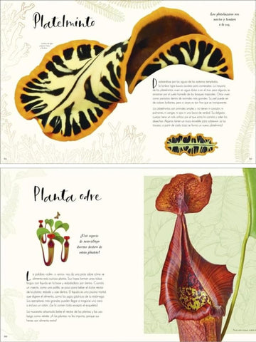 Maravillas Naturales