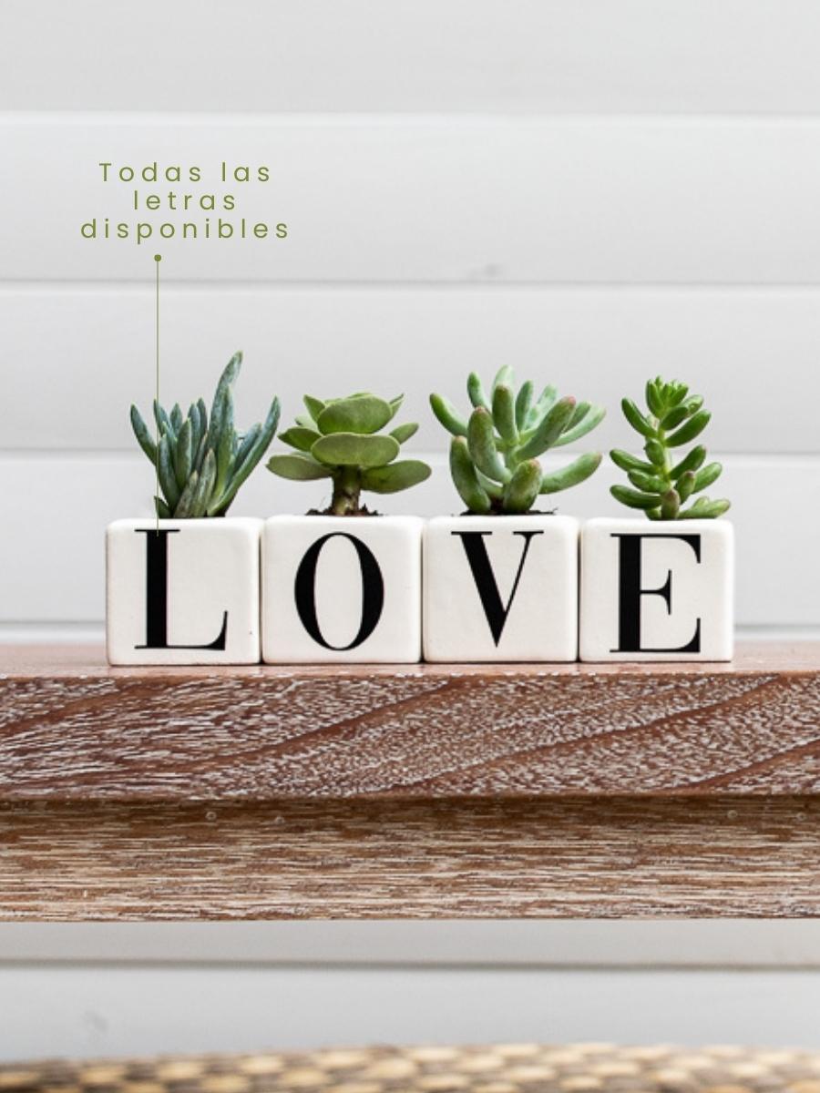 maceta-con-iniciales-palabra-love-suculentas-de-regalo-amor-y-amistad-regalos-para-hombres-regalos-san-valentin-amor-y-amistad-cuidado-de-suculentas-regalo-de-aniversario-habibi-plant_e75936ac-fb80-4437-acb2-d7e67b519ddd.jpg