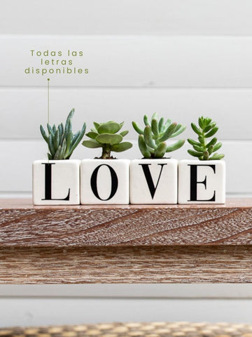 maceta-con-iniciales-palabra-love-suculentas-de-regalo-amor-y-amistad-regalos-para-hombres-regalos-san-valentin-amor-y-amistad-cuidado-de-suculentas-regalo-de-aniversario-habibi-plant_e75936ac-fb80-4437-acb2-d7e67b519ddd.jpg