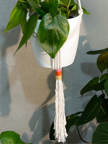 Macramé Bordado con Planta de Interior