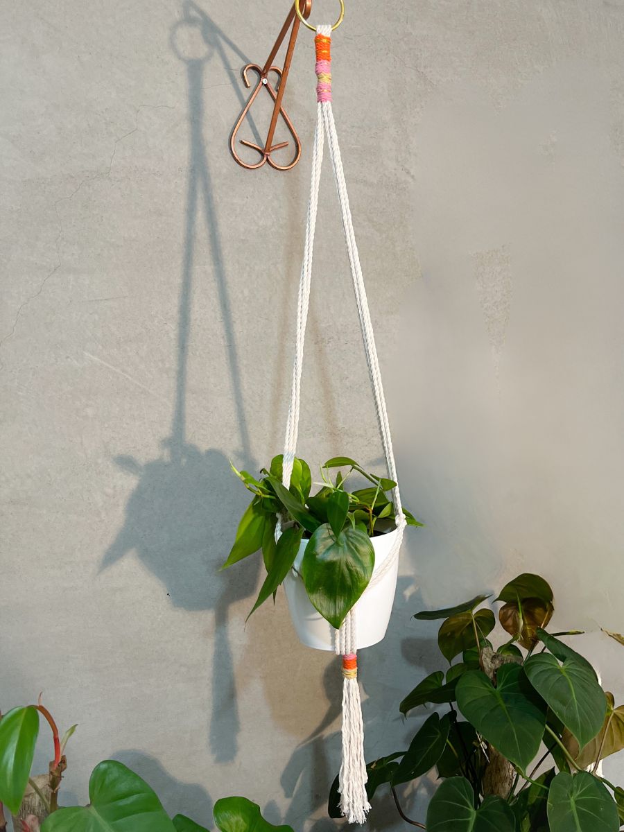 Macramé Bordado con Planta de Interior