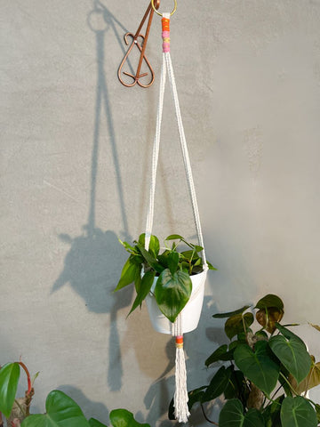 Macramé Bordado con Planta de Interior