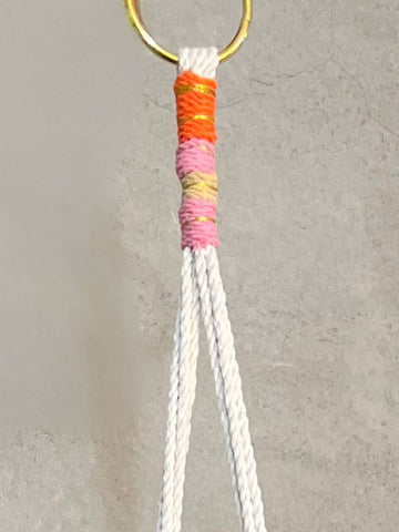 Macramé Bordado con Planta de Interior