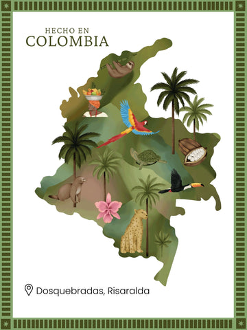 • Ancheta Valle del Cocora