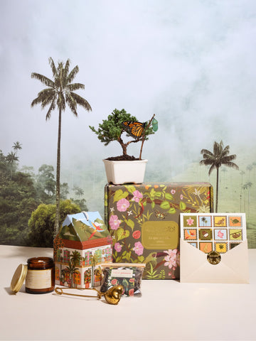Kit Casita Serena – capullo de mariposa