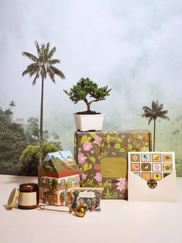 Kit Casita Serena