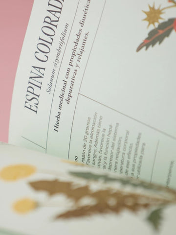 Libro Plantas Poderosas