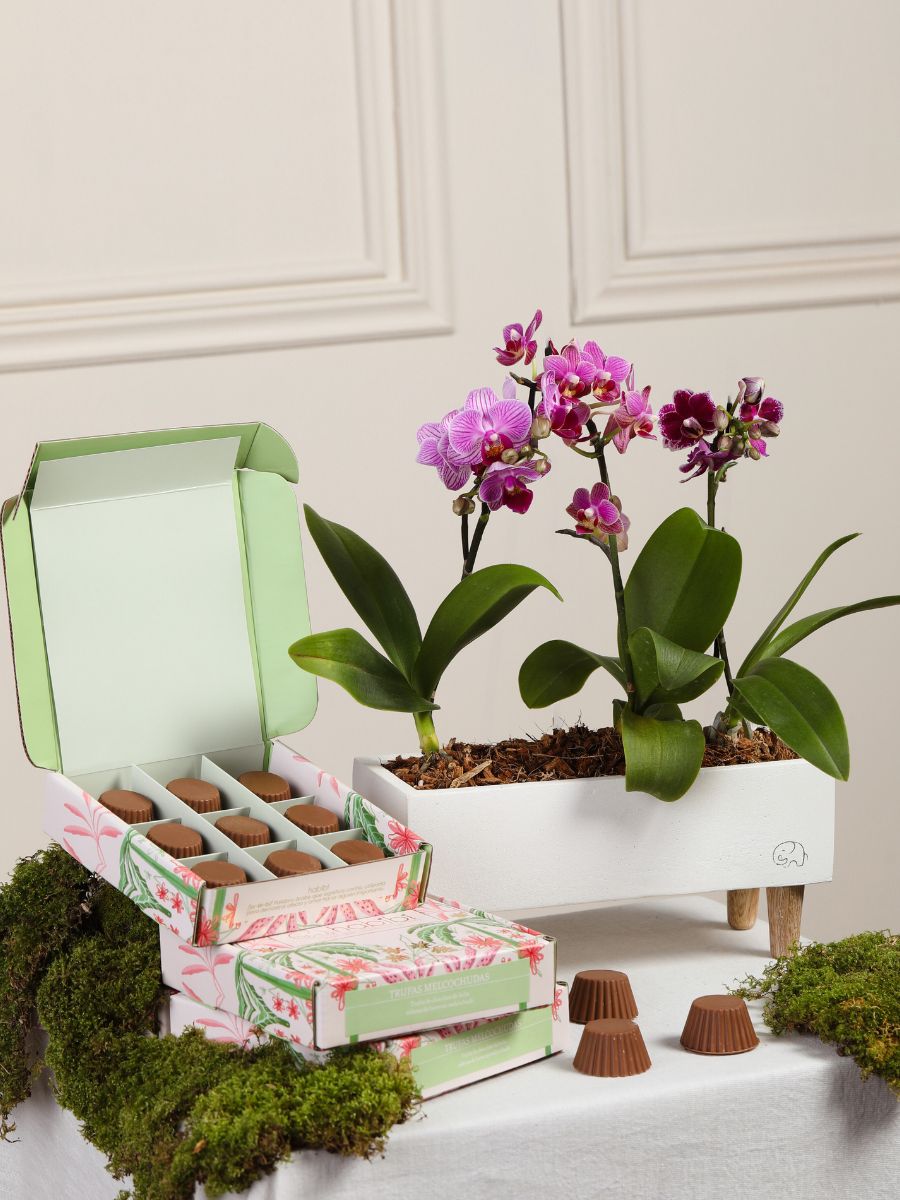 • Kit Mykonos con Chocolates