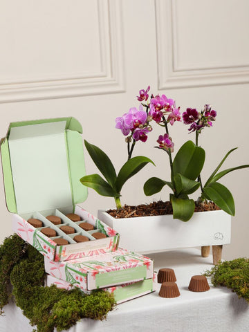 • Kit Mykonos con Chocolates