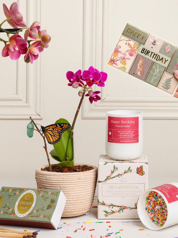 Kit Blooming Days