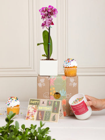 Kit ¡Happy Birthday to You!