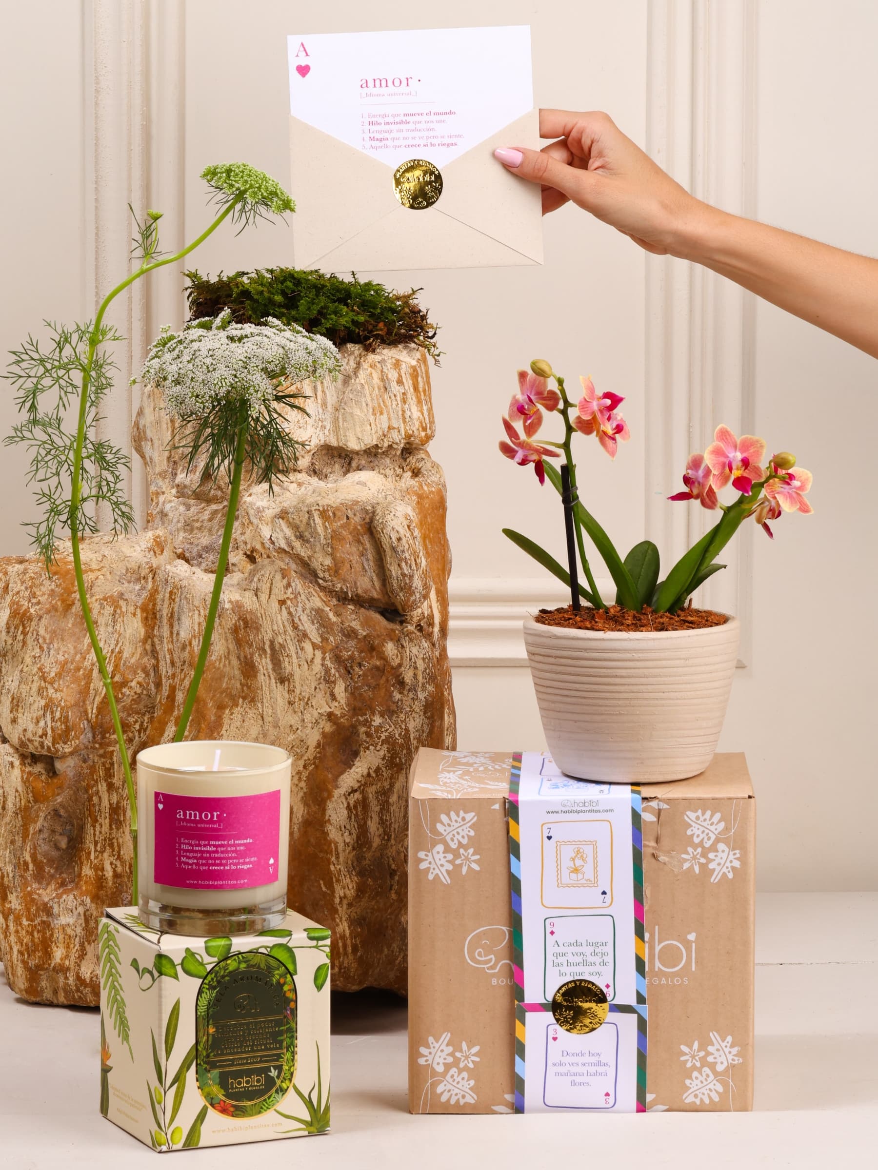 Kit True Love: orquídea baby sembrada en matera Sahara de barro blanco con relieve, junto a la vela Cupido y la postal de Amor, sobre fondo de la temporada Cartas de Amor.
