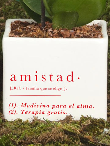 Matera Amistad con Orquidea