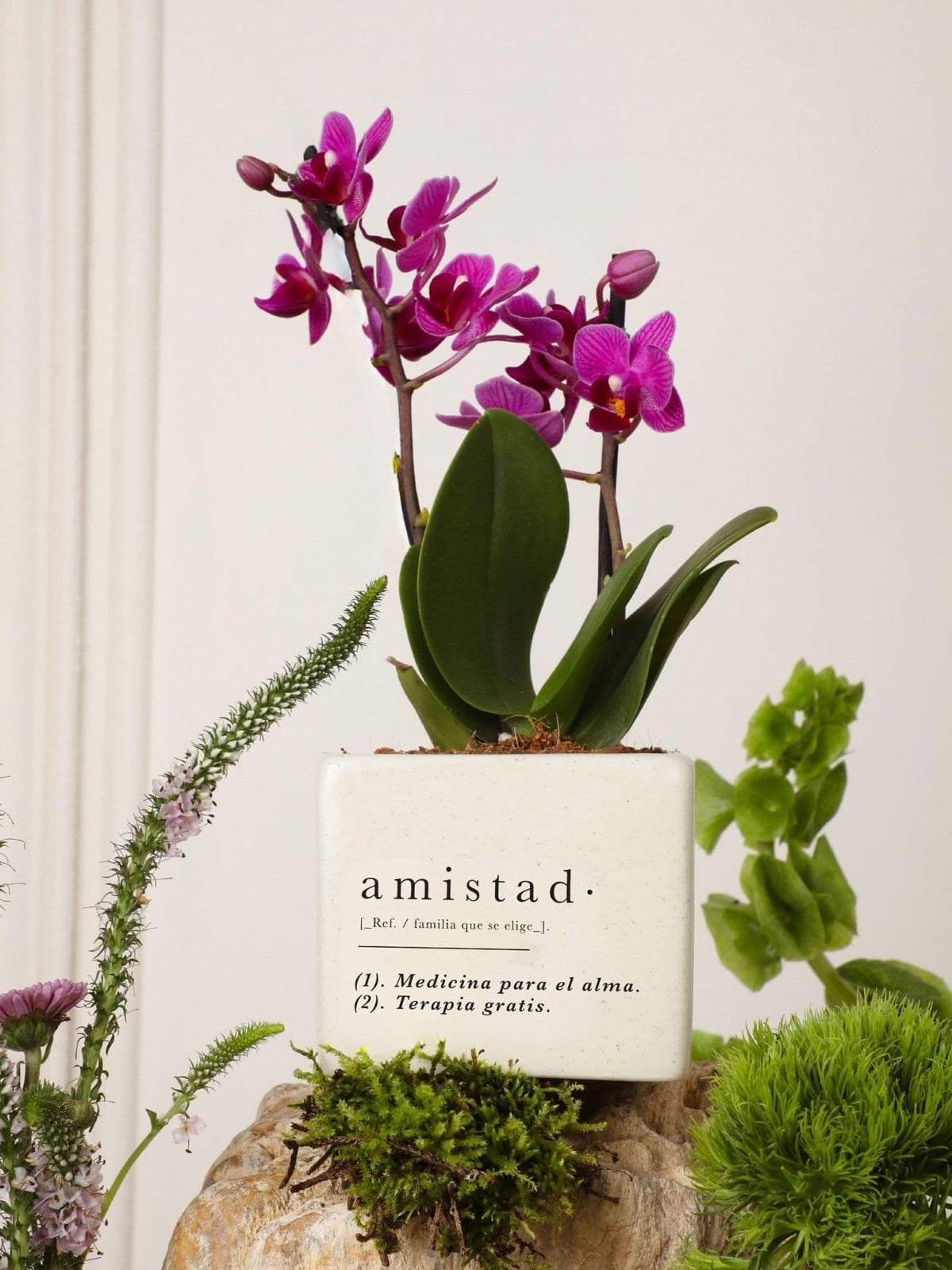 Matera Amistad con Orquidea