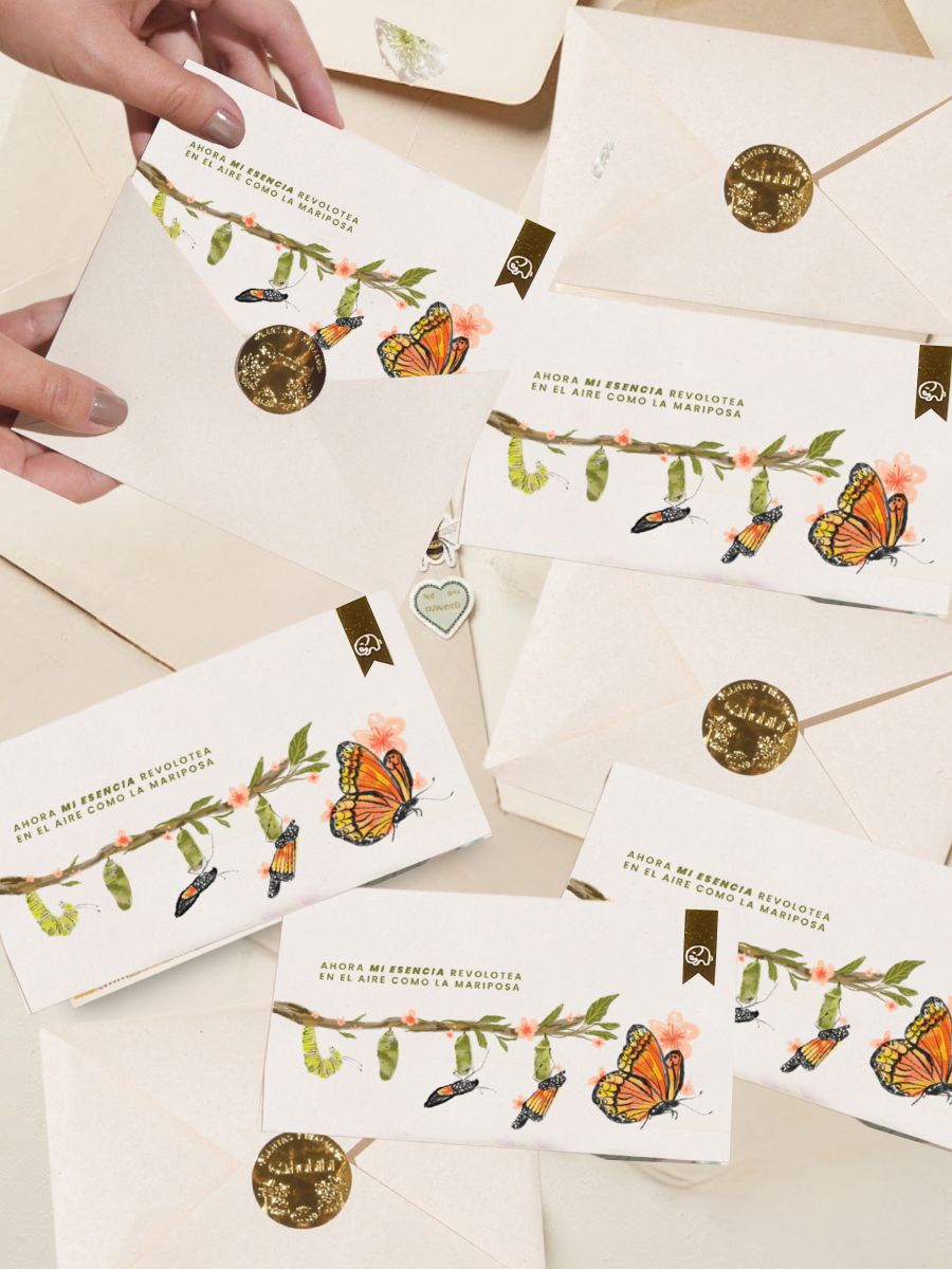 Set x5 Tarjetas de Regalo Condolencias con Semillas