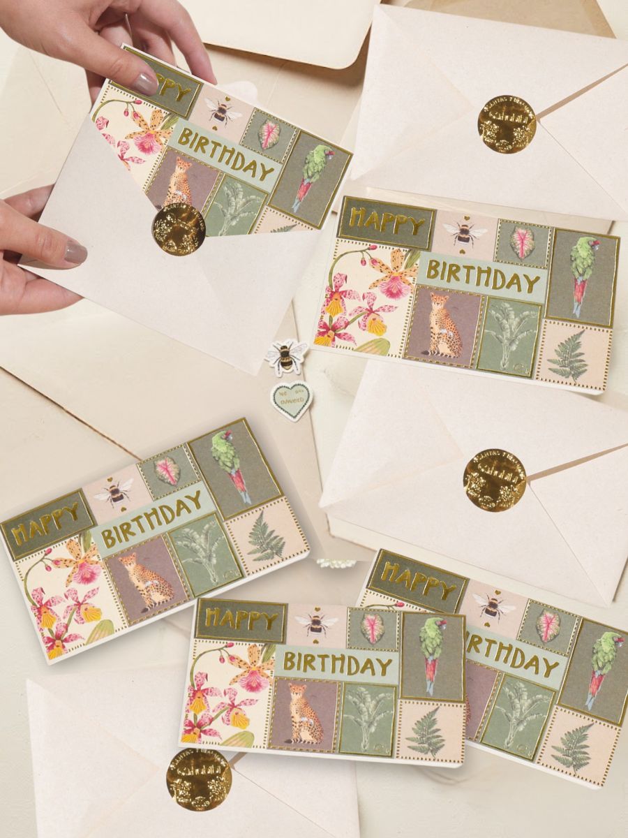 Set x5 Tarjetas de Regalo Cumpleaños con Semillas