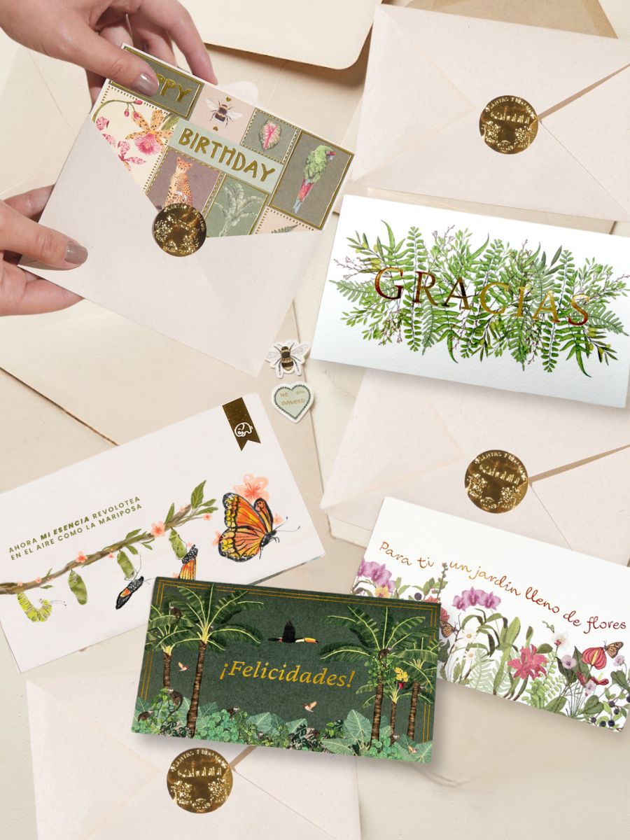 Set x5 Tarjetas de Regalo Surtidas con Semillas