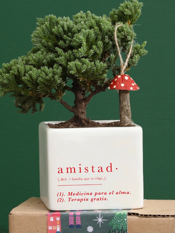 Kit de Regalo Amistad