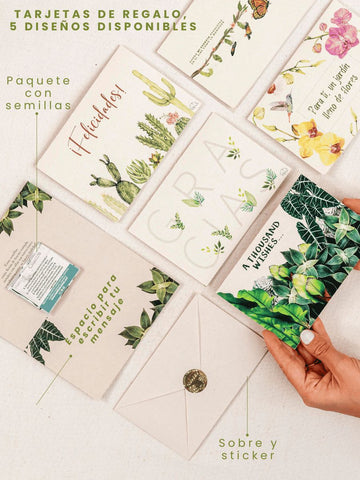 Arreglo Mykonos con Orquideas Baby