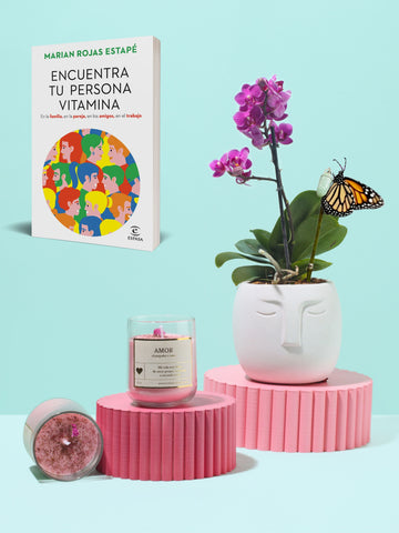 Kit Amor, Persona Vitamina