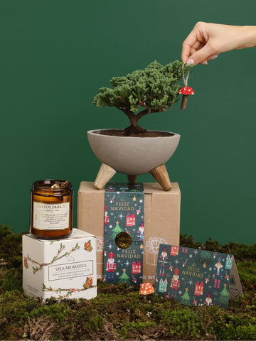 • Kit Nutcracker
